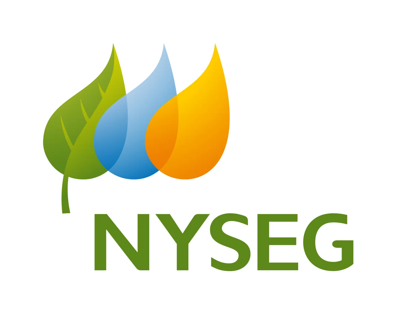 NYSEG + RG&E logo