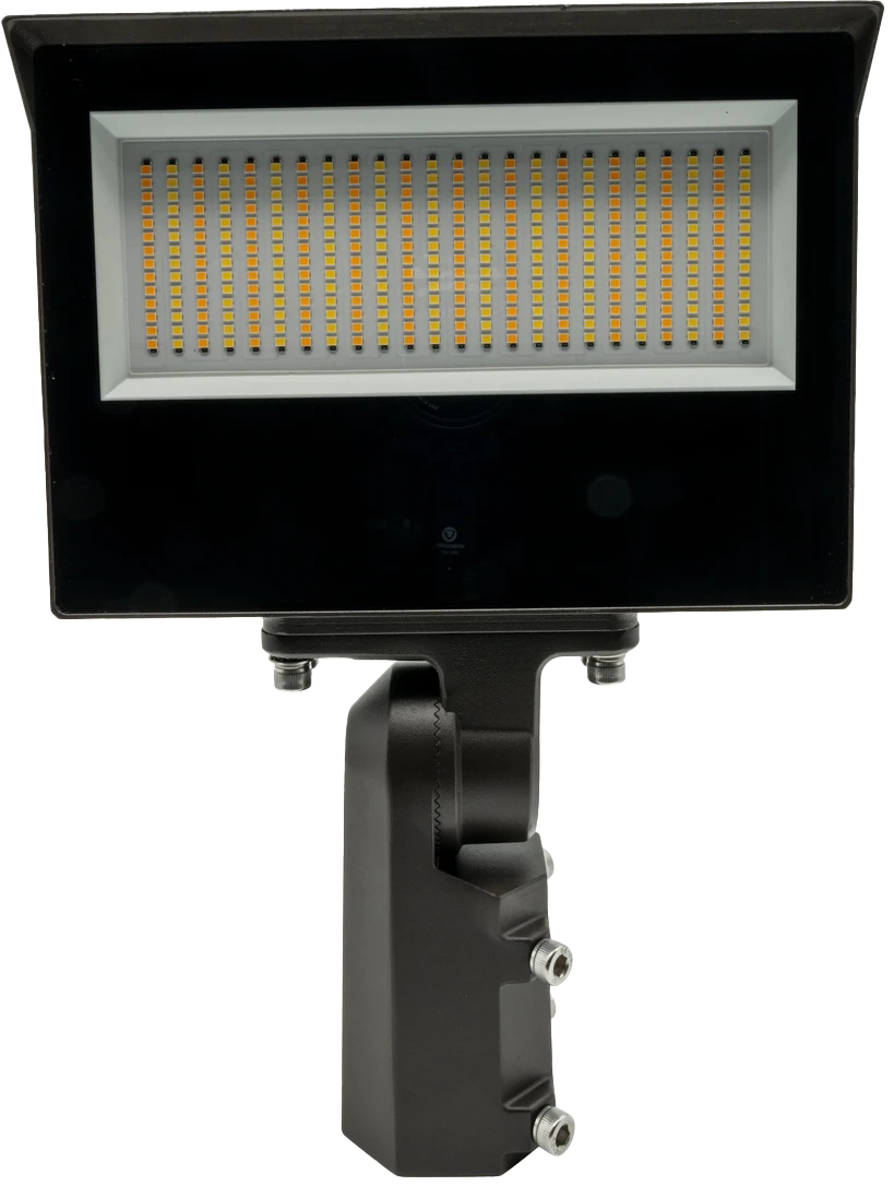 <p>Multi-Watt Flood Light</p>