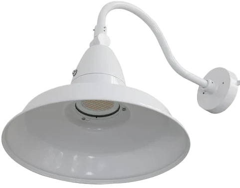 <p><span style="background-color: rgb(255, 255, 255); color: rgb(55, 65, 81);">35 Watt Decorative Gooseneck Flood Light</span></p>